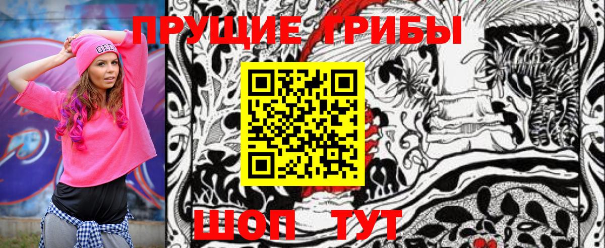 магазин    Вход с VPN  Елизово  Галлюциногенные грибы Cubensis 